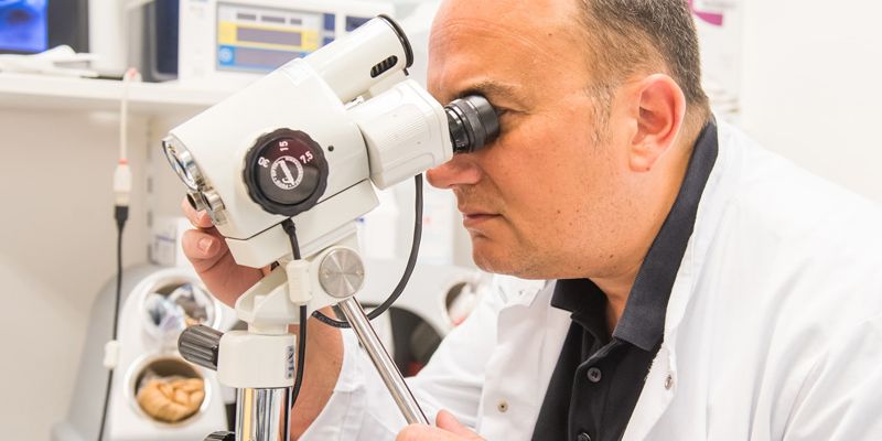 Gynäkologische Onkologie